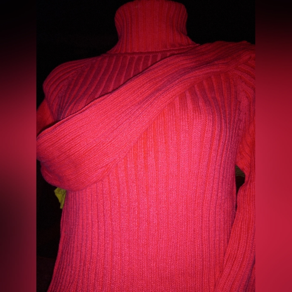 Long Sleeve Turtle neck Sweater